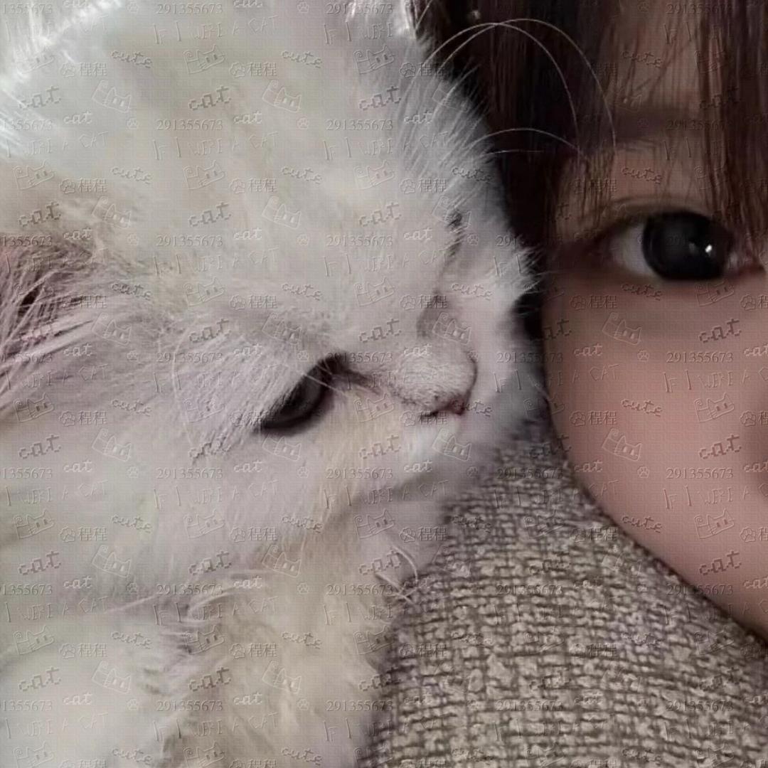 怡怡控