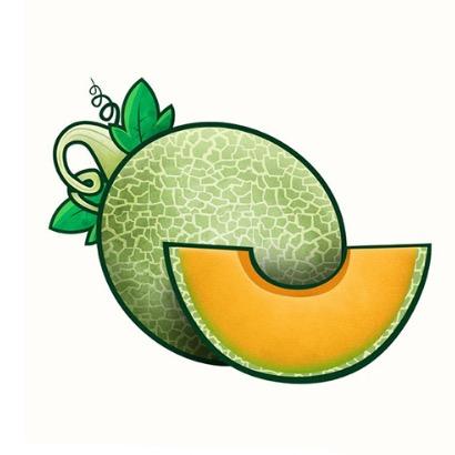 小蜜瓜🍈