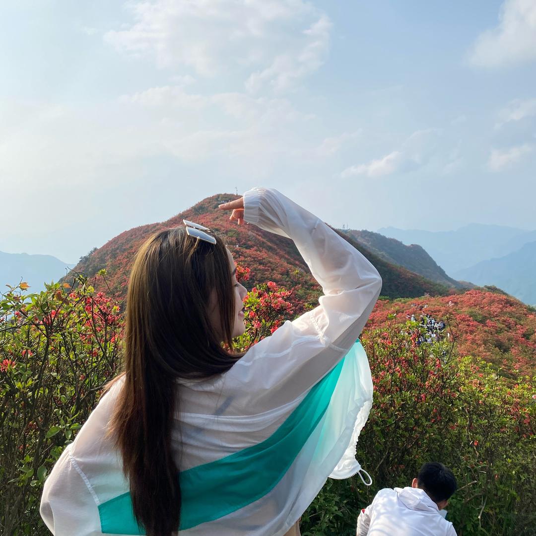 抑