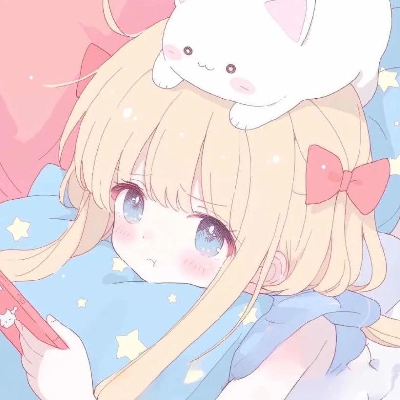 猫猫卷