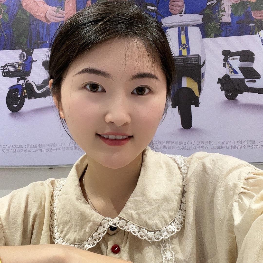 南阳山力 台铃电动车