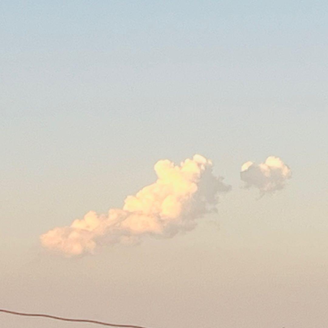 ᴸ  ᴹ
