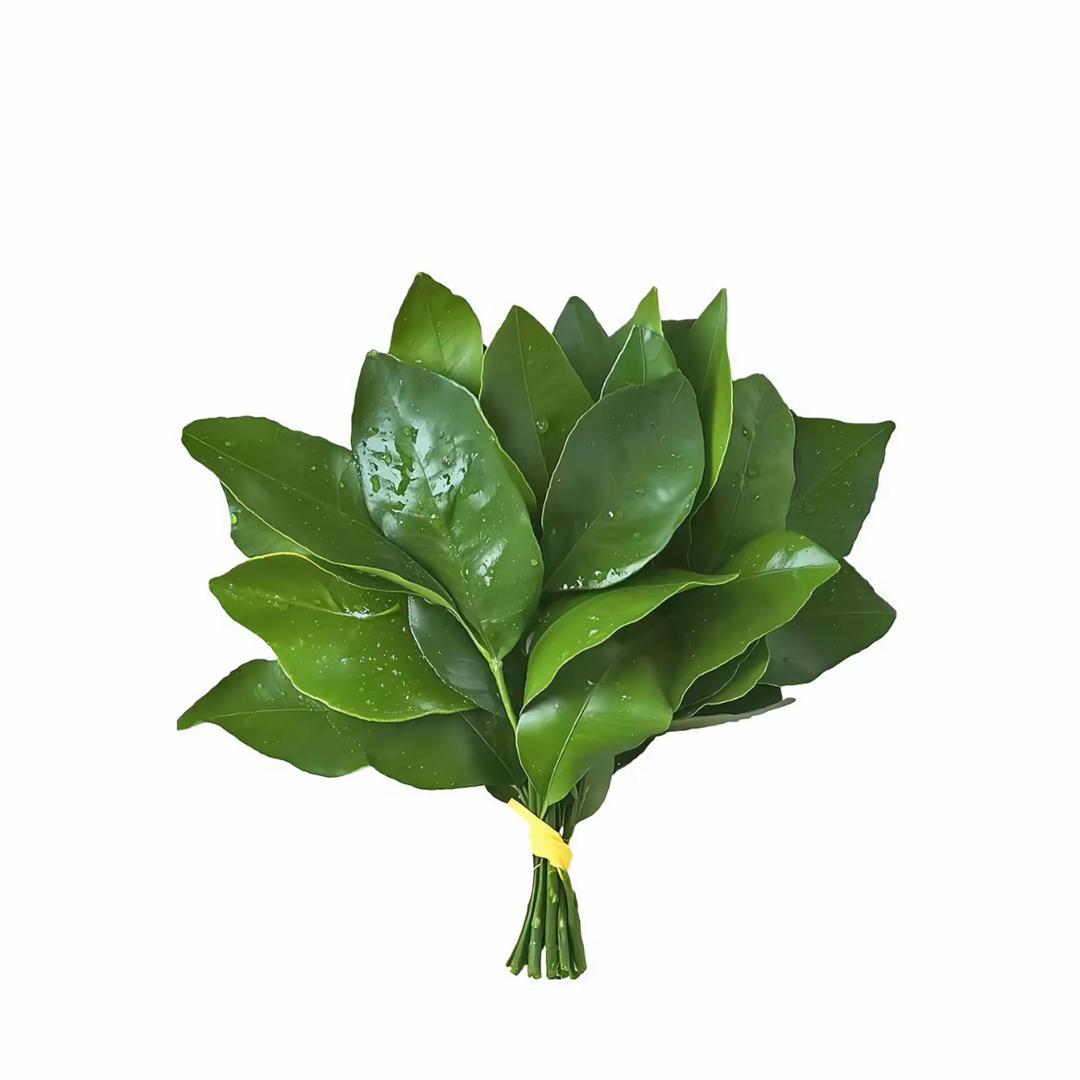 xy–