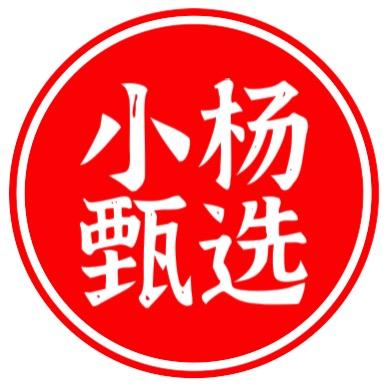 小杨甄选