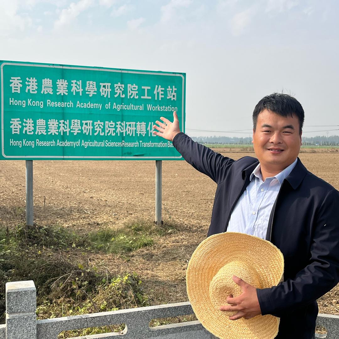 窦爱田园