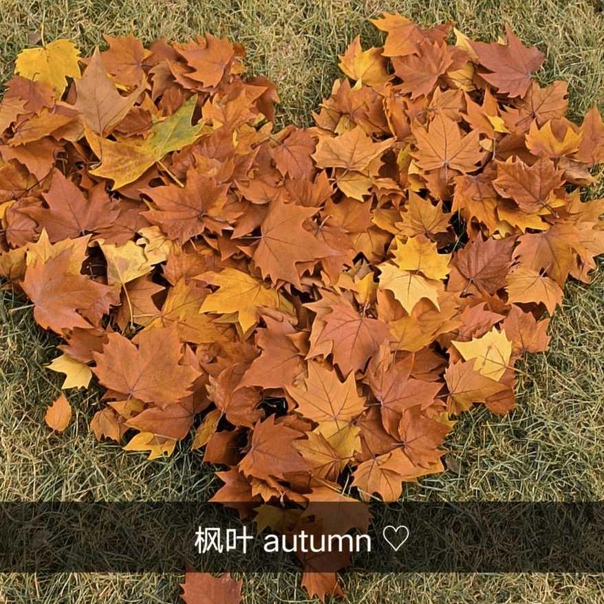 薰屿寰信息咨询工作室