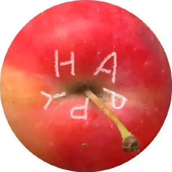 蟑螂驾到
