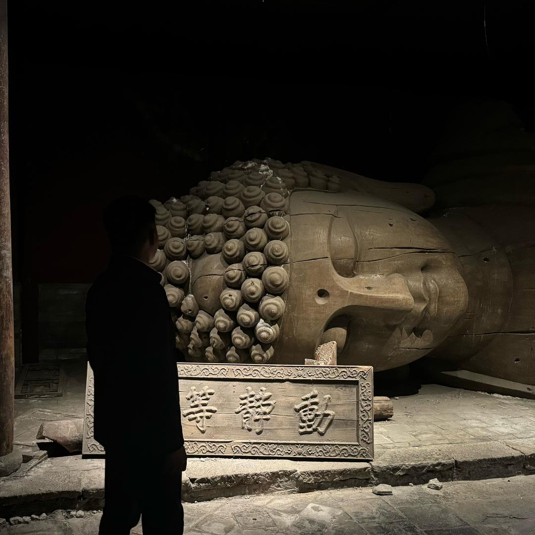 东方树叶.
