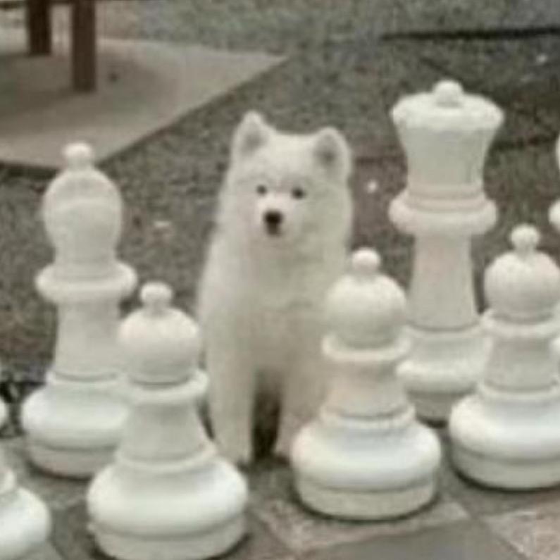 逸光（开极越01版）