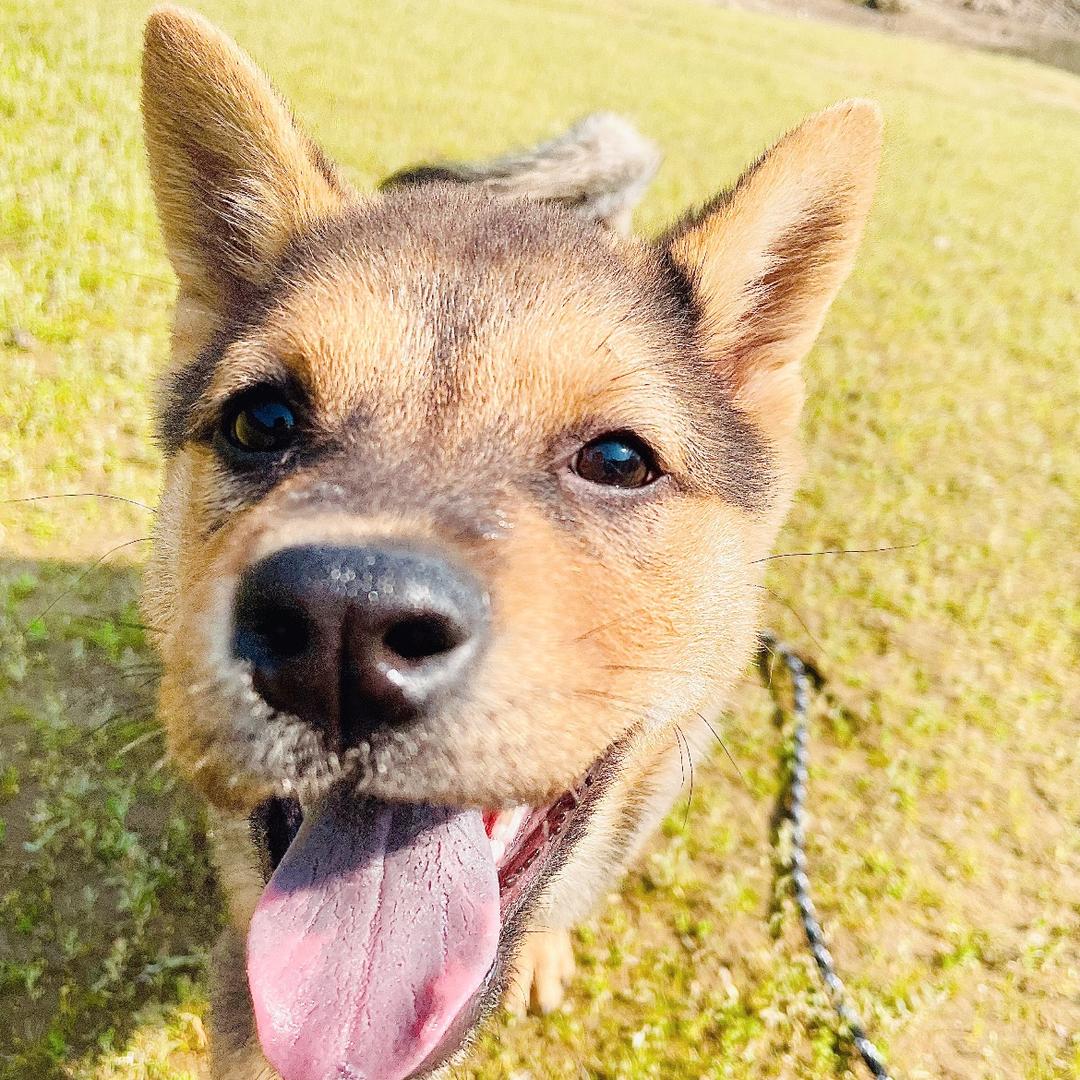 007￴￴￴ ￴￴￴ ￴