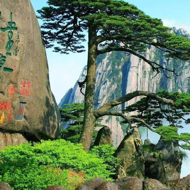 小小洗衣工