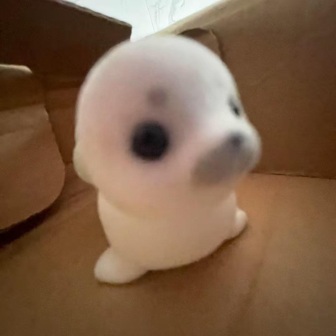 香香辣辣的小鱼干☠️