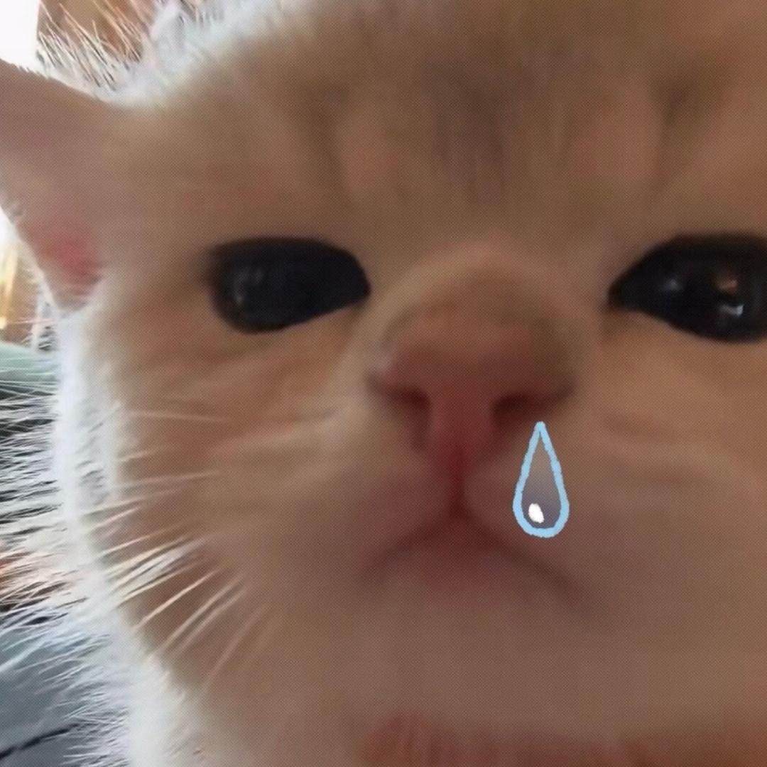 小doki