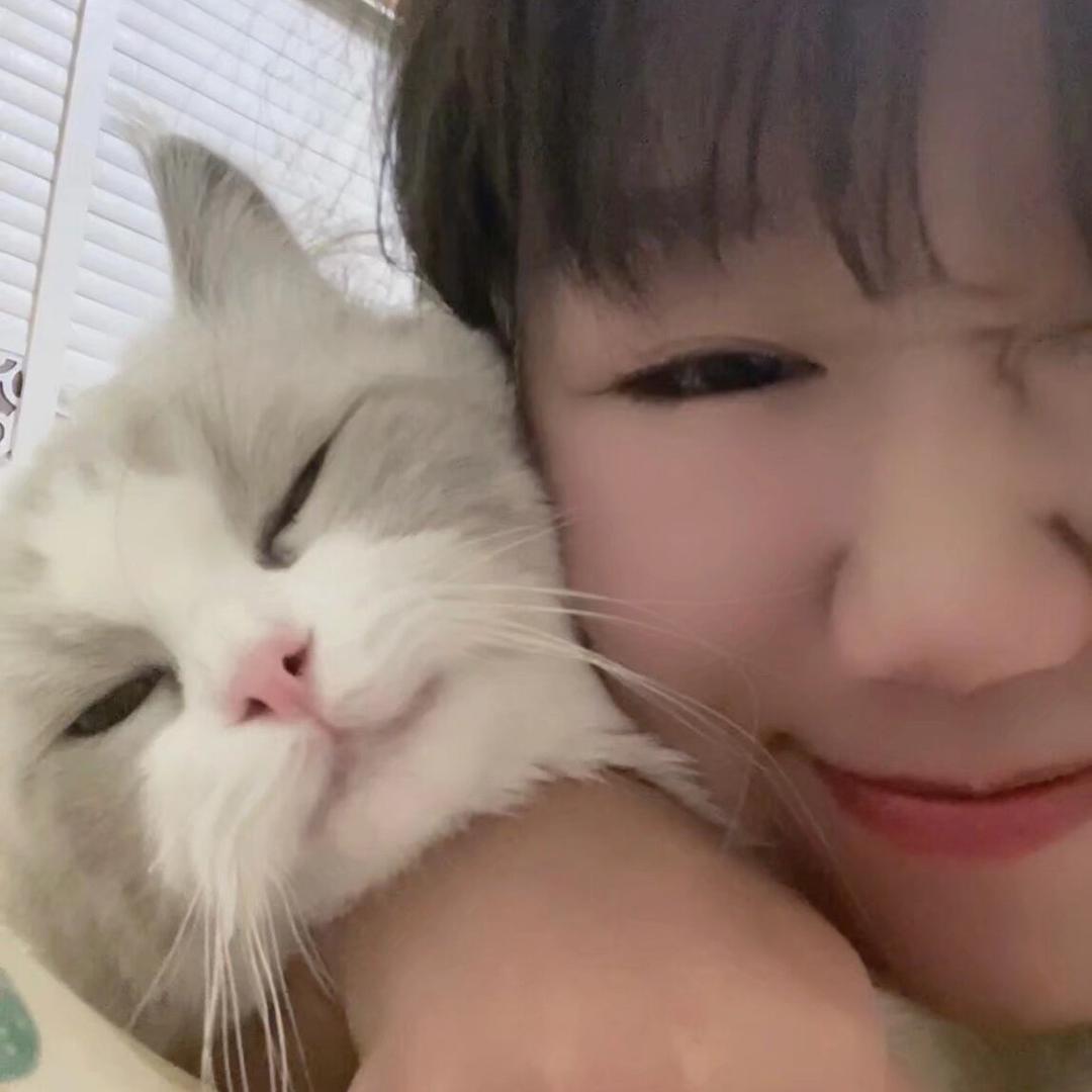 抱不动的瑶瑶(180斤版)