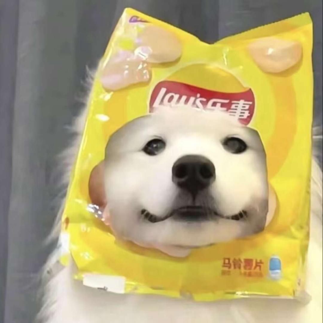 鱼咕咕