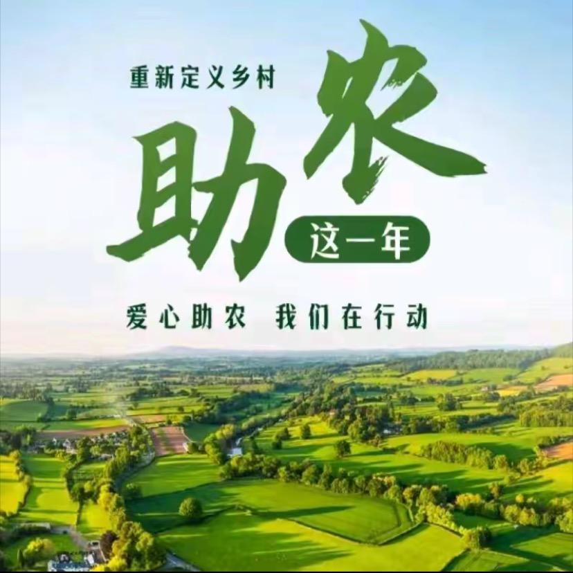 小冯乡村助力三农