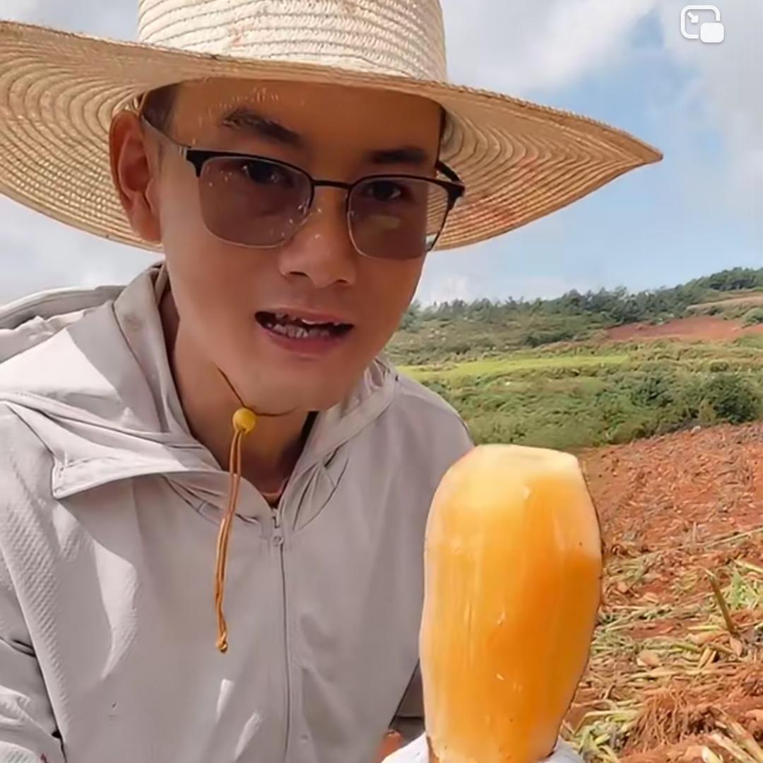 蔬果果农-小高