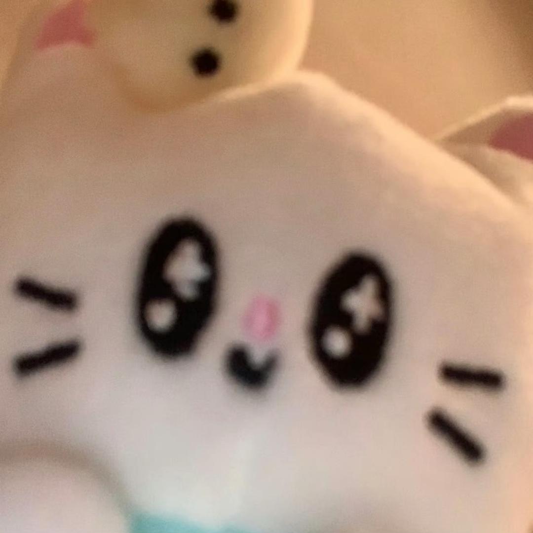 海苔肉松炸鸡