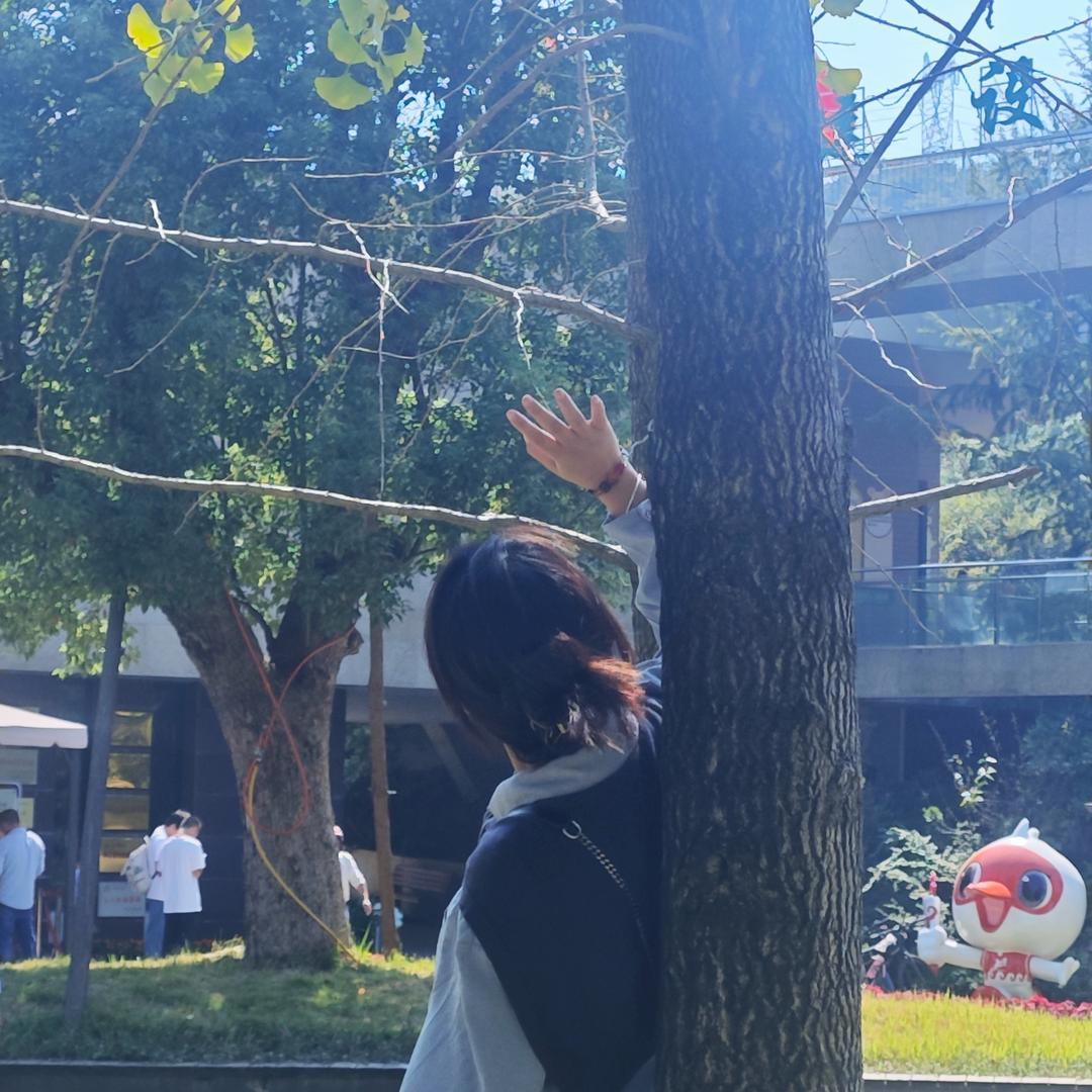 不爱吃饼的小陈