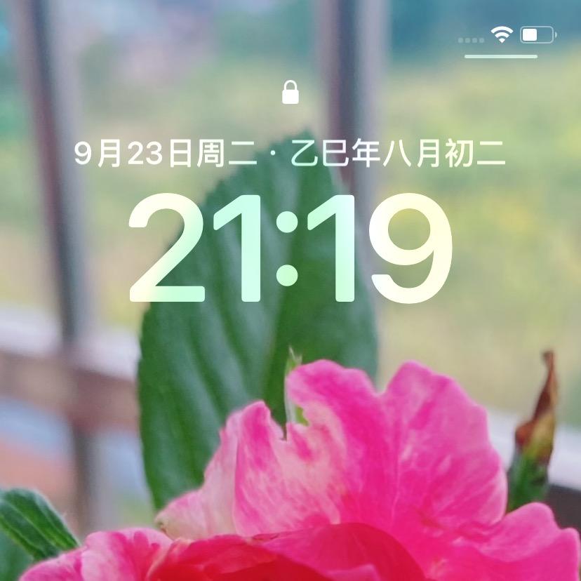 路路通项链