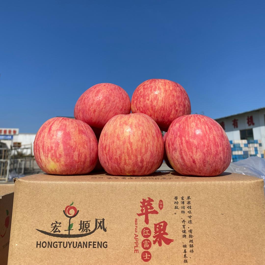 宏土塬风果业