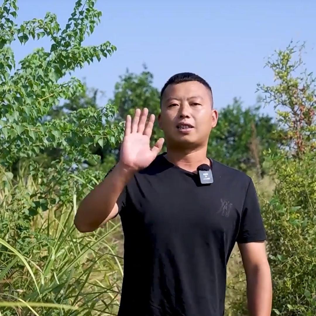 小飞哥的故事