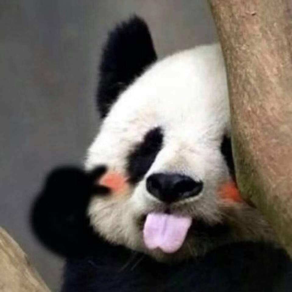 枫叶将故事染色