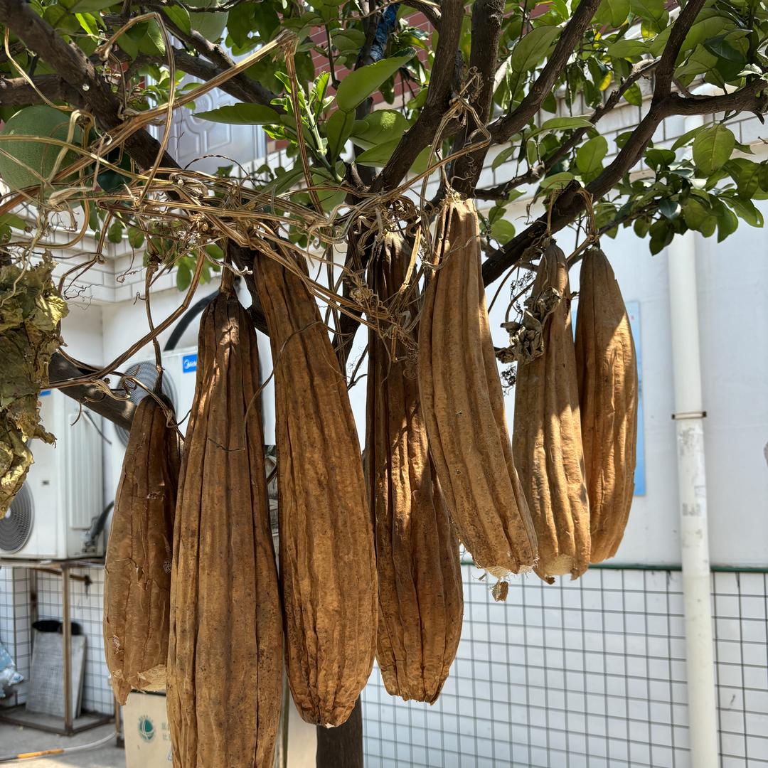 心选上海石磐贸易有限公司家居生活专卖店