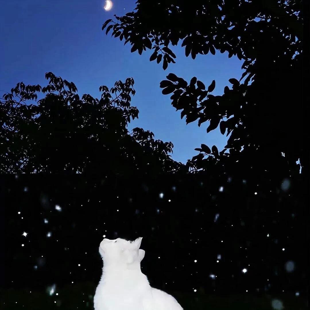 晚安🌙