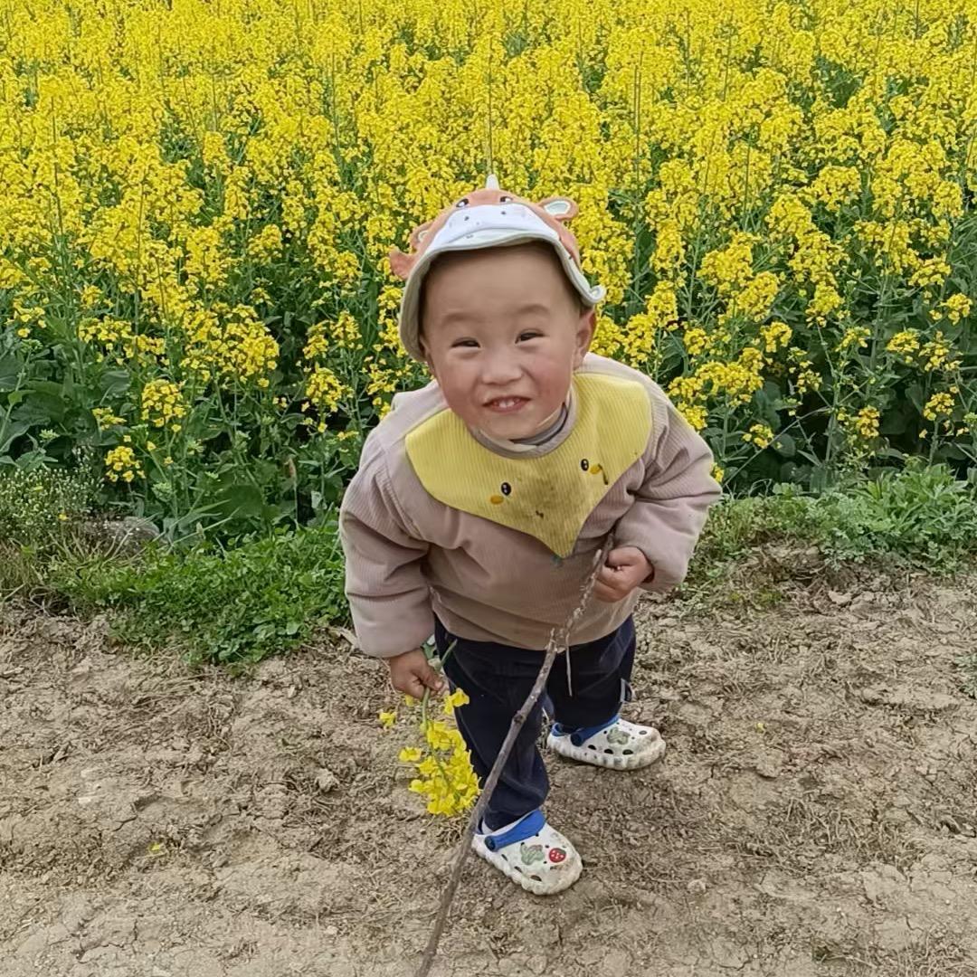 云淡风轻