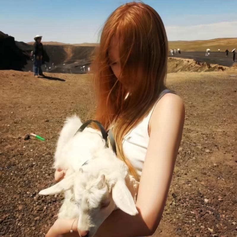 加 菲