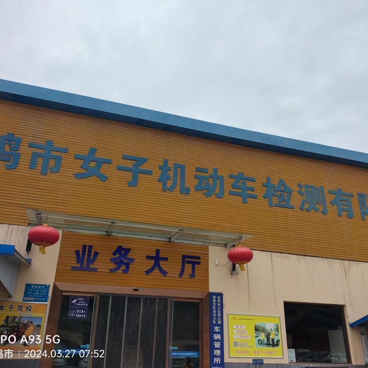 审车王延树