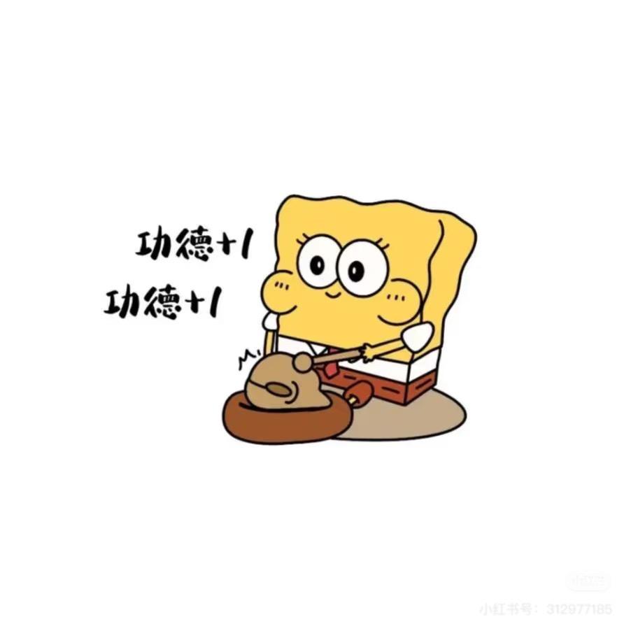 ʚ🐷ིྀɞ莎莎（宏锦）