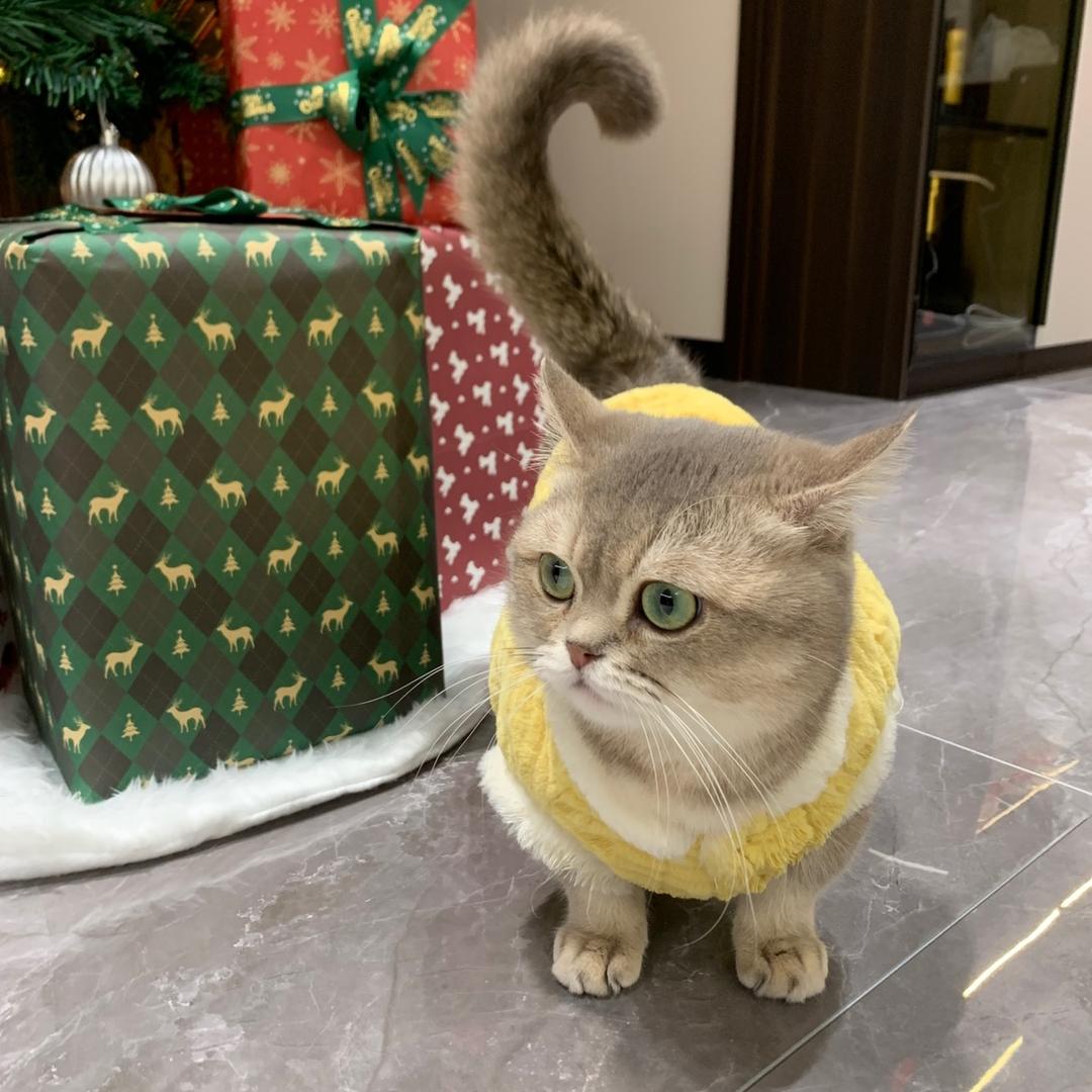 万想宠物用品专营店