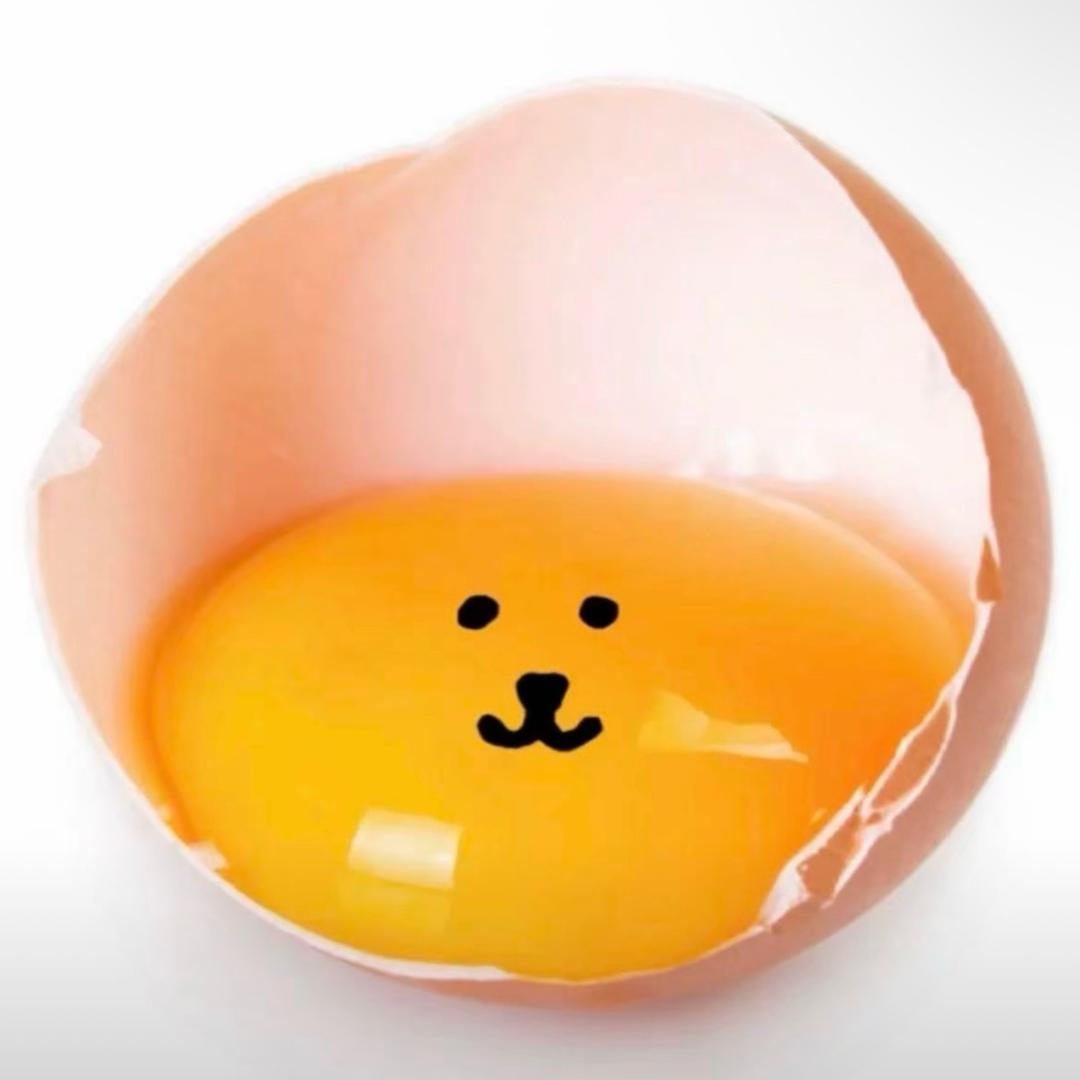 亚热带带鱼
