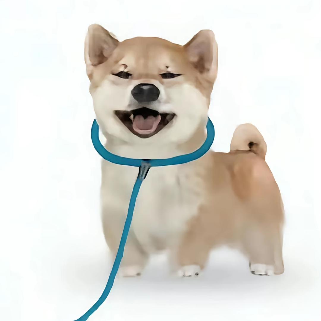 我就一个昕