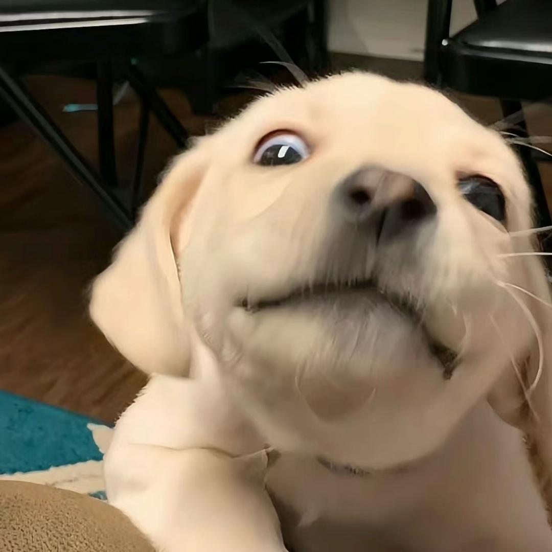 呱