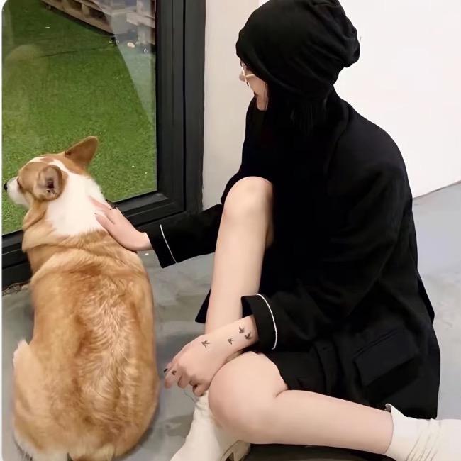 偏爱春-
