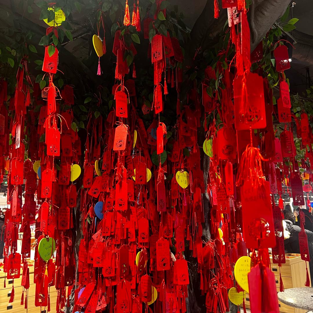 毛毛