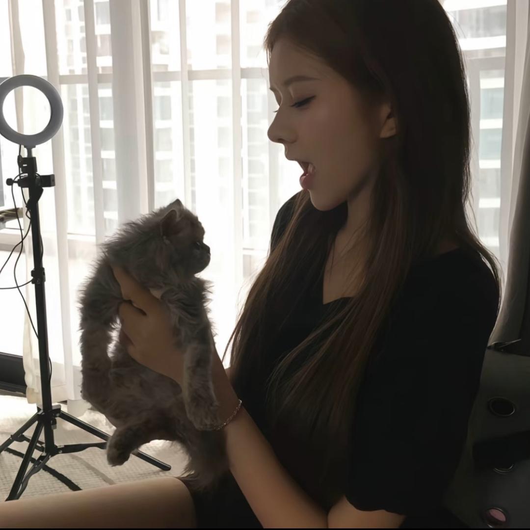 糕糕大王