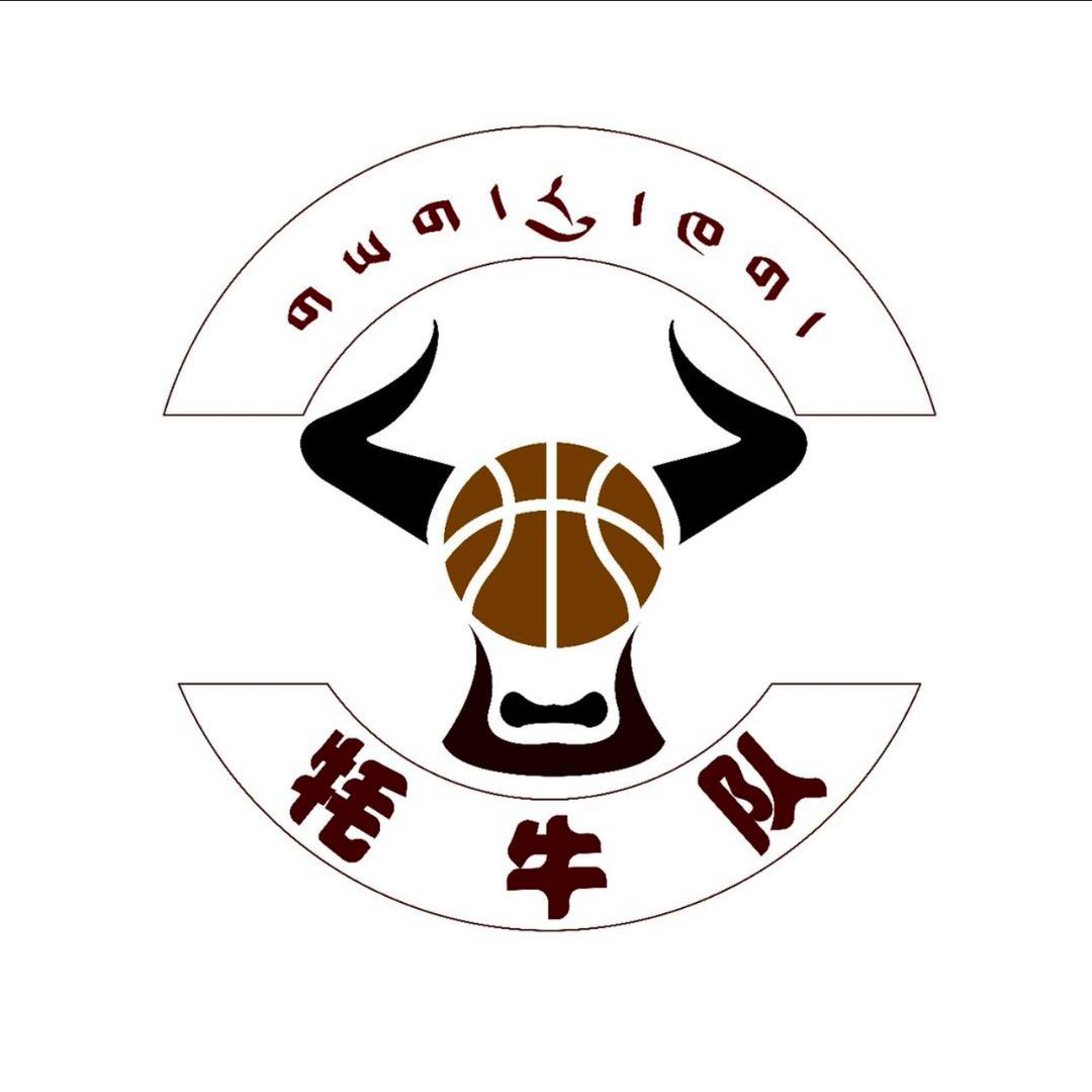 甘孜牦牛队