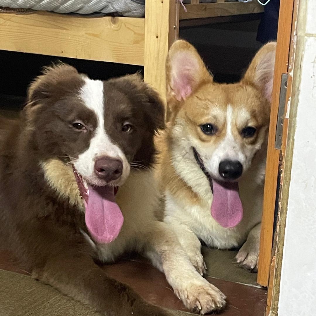 老八秘制小汉堡