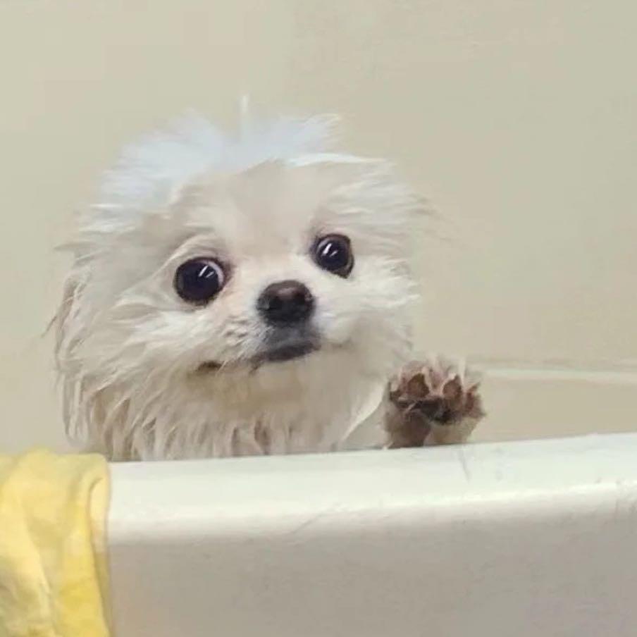 我想吃点甜的