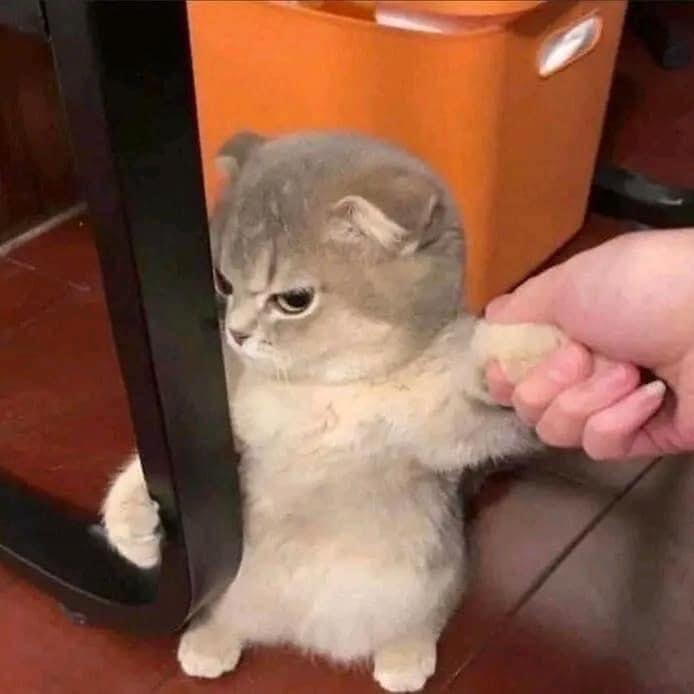 翰
