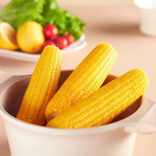 小雪东北粘糯玉米