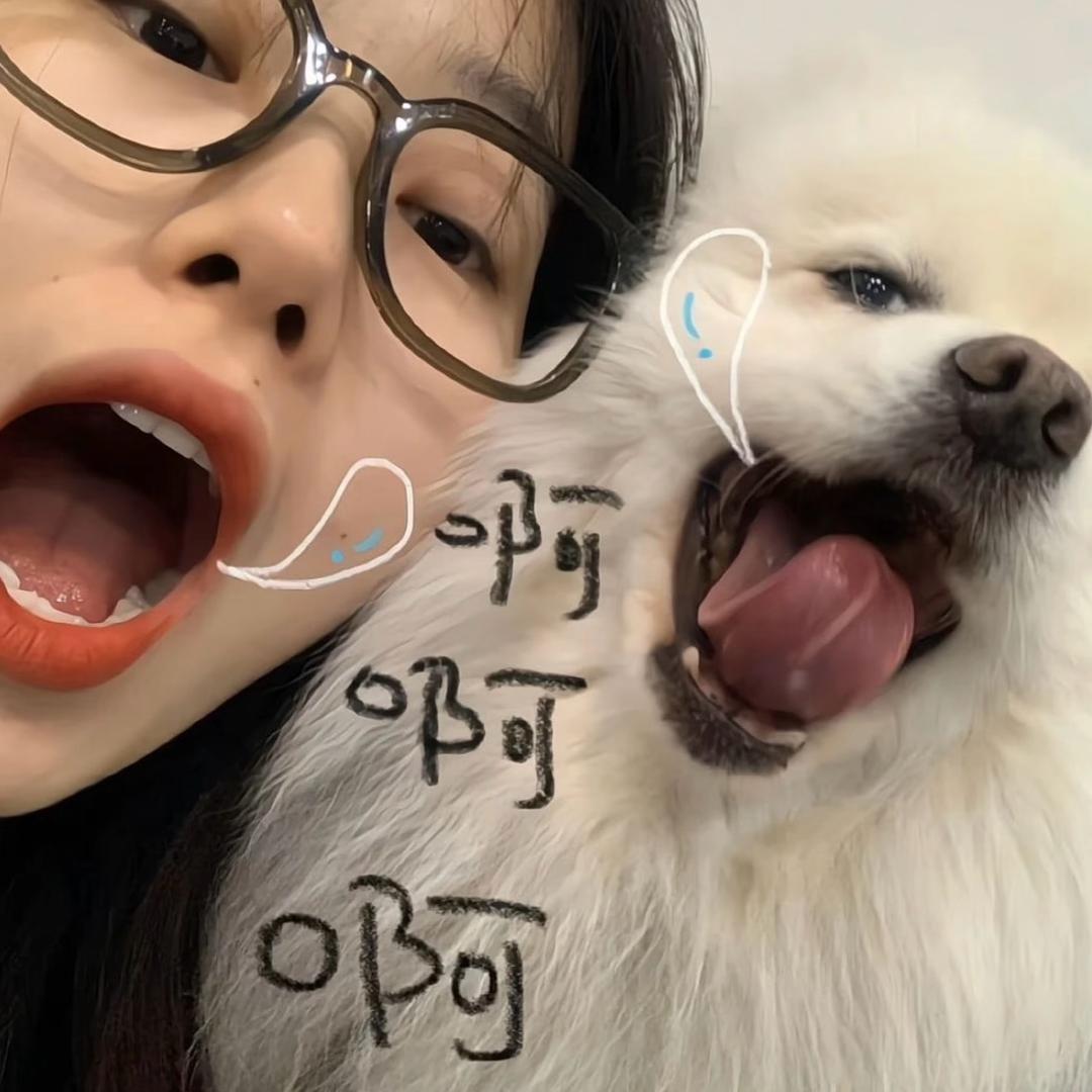 Hi 鲸鱼🐳