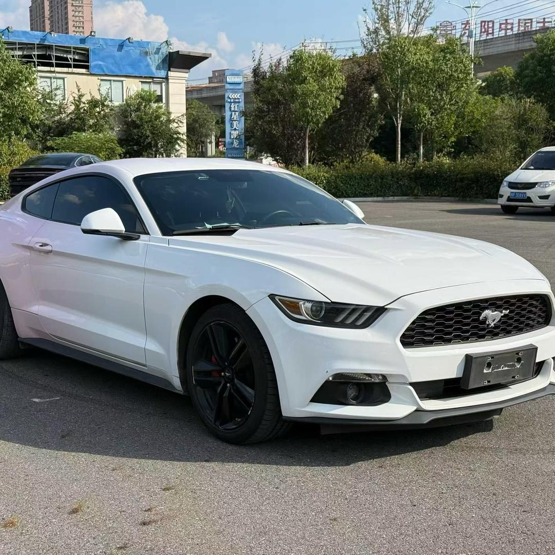 东阳大鹏严选二手车
