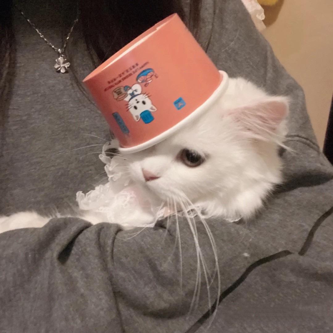 滴滴叮咛