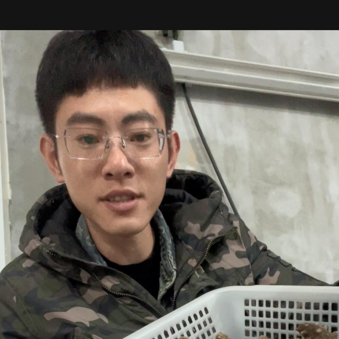 顺稼禾