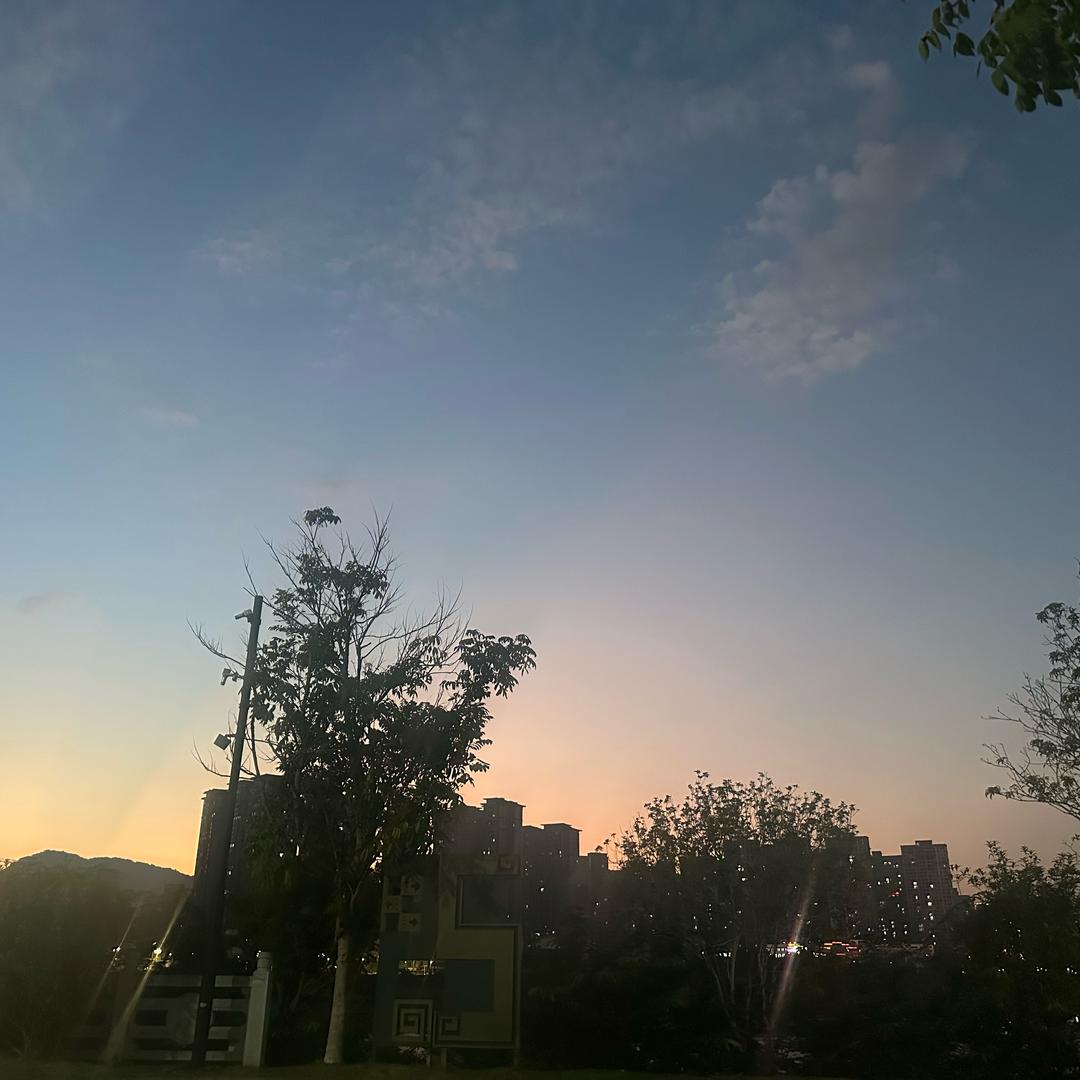 听说糖很甜 🍬